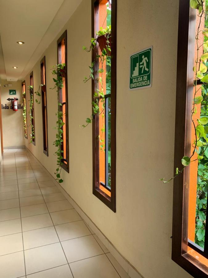 Hotel Cafenaranja 希利特拉 外观 照片